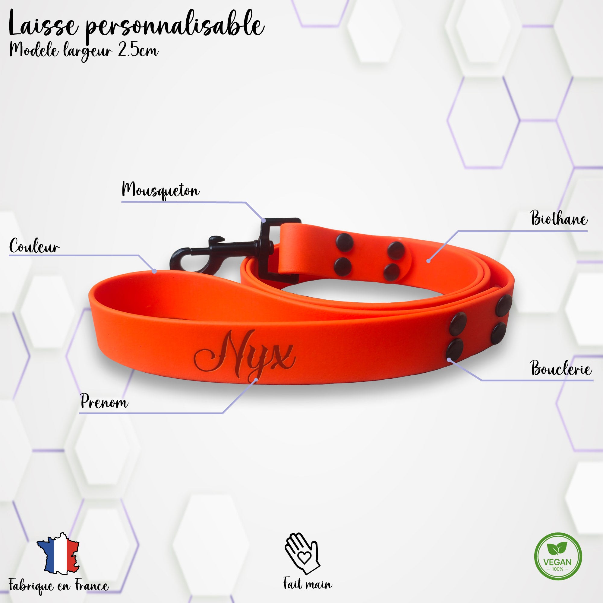 Laisse personnalisable 2.5cm Biothane
