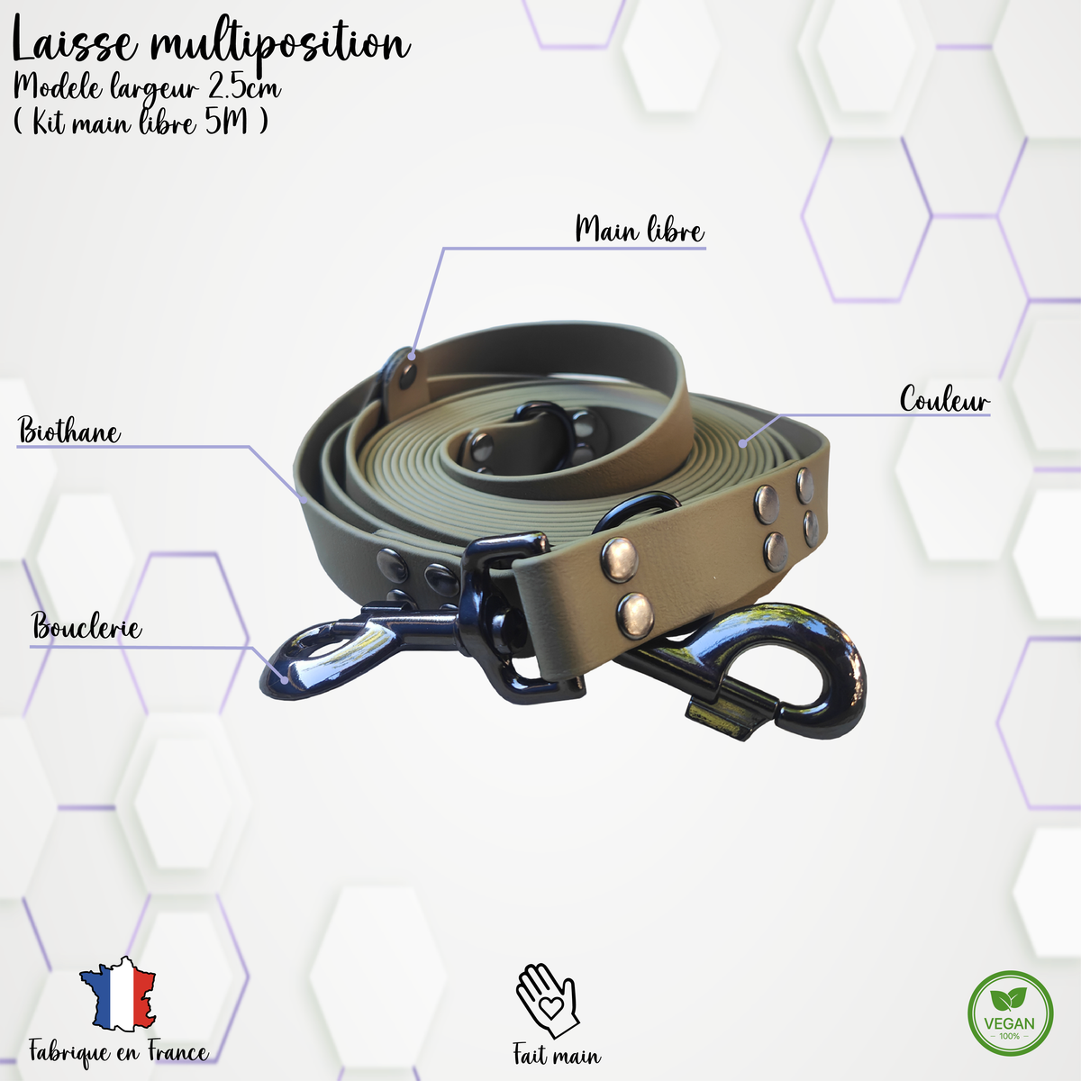 Laisse multiposition personnalisable 2.5cm Biothane
