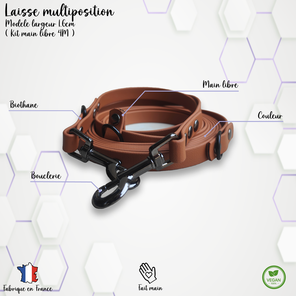 Laisse multiposition personnalisable 1.6cm Biothane