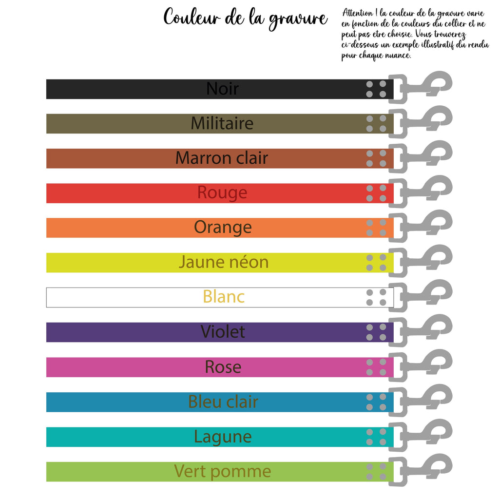 Laisse multiposition personnalisable 1.6cm Biothane