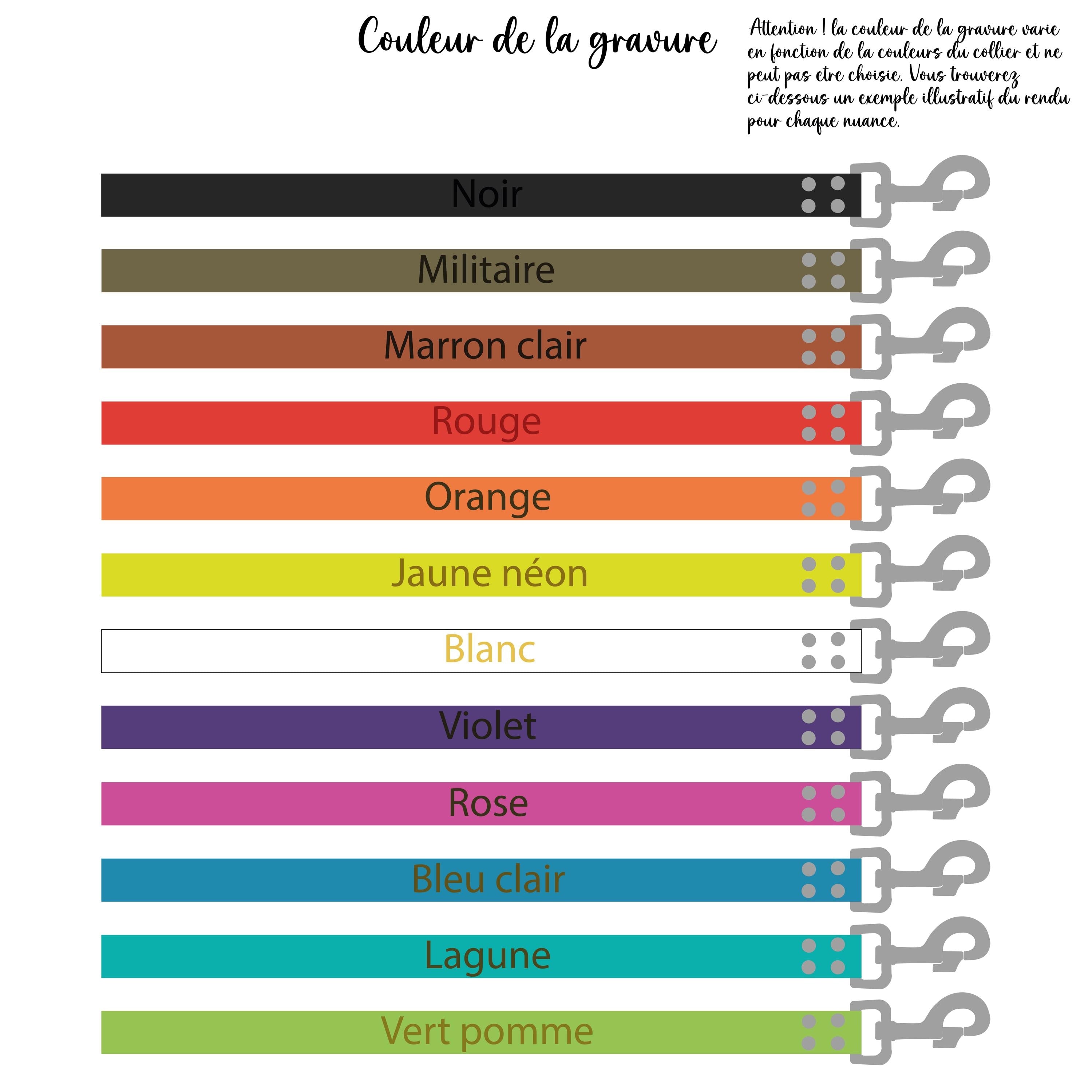 Laisse personnalisable 2.5cm Biothane
