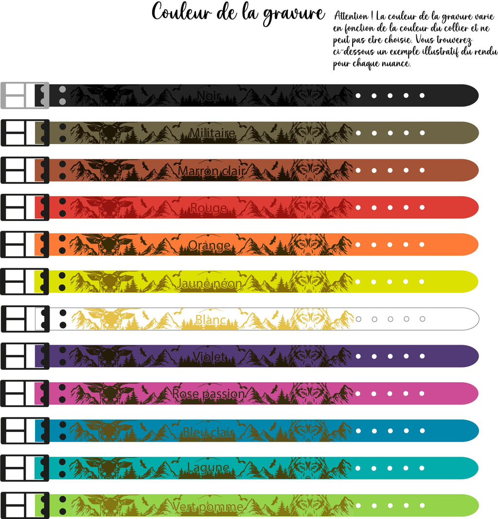 Collier personnalisable 2.5cm Biothane