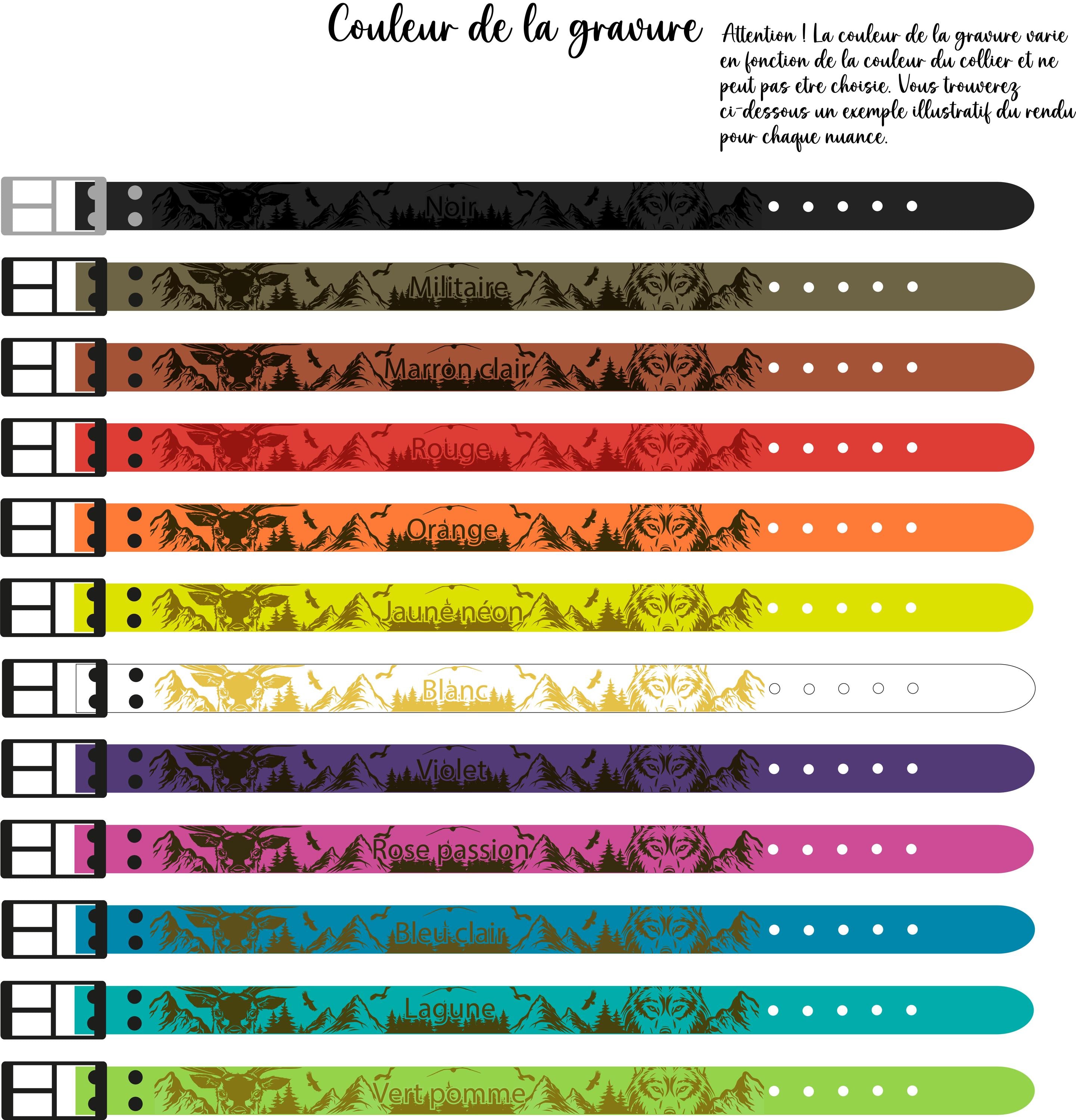 Collier personnalisable 3.8cm Biothane